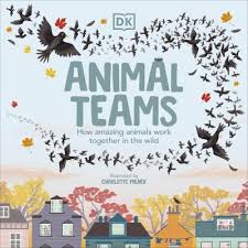Animal-Teams-DK-9780241525913
