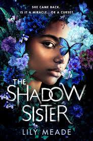 The-Shadow-Sister-Lily-Meade-9781728283906