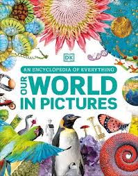 Our-World-In-Pictures-DK-9780241515303