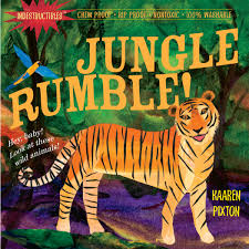 Indestuctibles-Jungle-Rumble-Amy-Pixton-9780761158585